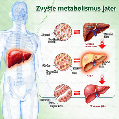 Oficiální český obchod~💙𝐆𝐞𝐞𝐋𝐞𝐦𝐨𝐧® 10v1 Nanomikrojehlicové náplasti na formování těla 🇨🇿 Pouze 1 použití denně ✅ Výsledky viditelné již za 7 dní – vhodné pro obezitu, kardiovaskulární zdraví, cukrovku a problémy s klouby
