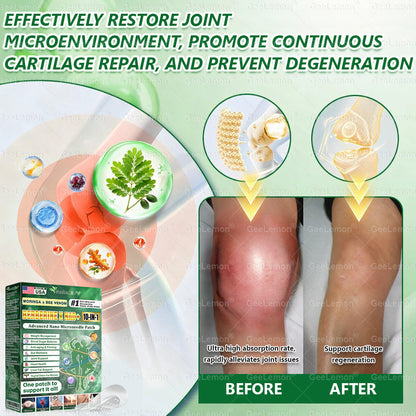 Moringa · Berberine x NAD+ 10-in-1 Advanced Nano Microneedle Patch