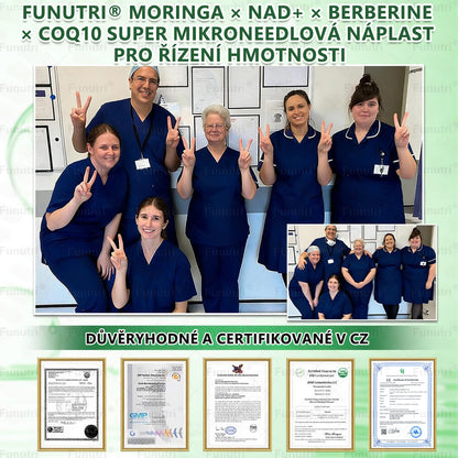 Oficiální obchod 🍀 Funutri® 10 v 1 metabolická tvarující náplast s nano mikrojehličkami (Pouze jednou denně, viditelné změny již za 7 dní)  Určeno pro osoby s obezitou, diabetem, spánkovou apnoe